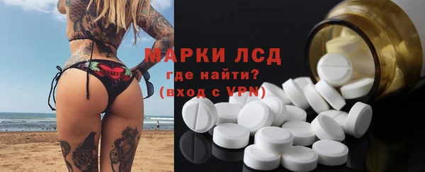 стаф Карпинск