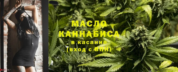 метадон Каменка