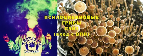 метадон Каменка