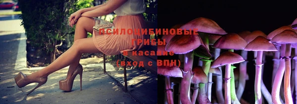 метадон Каменка