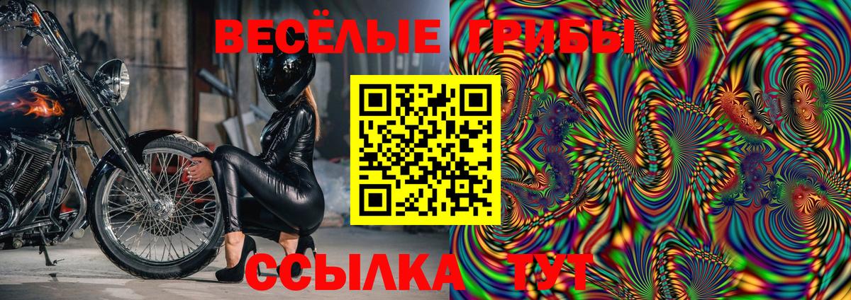 Галлюциногенные грибы Cubensis  Вход с VPN  Псилоцибиновые грибы MAGIC MUSHROOMS  Кольчугино 