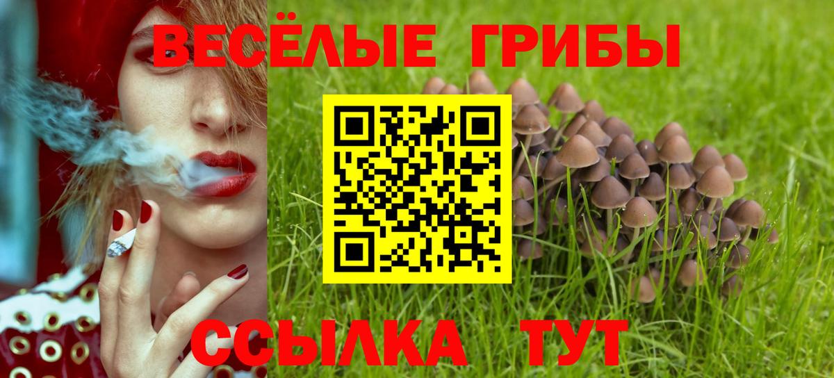 Галлюциногенные грибы ЛСД Кольчугино