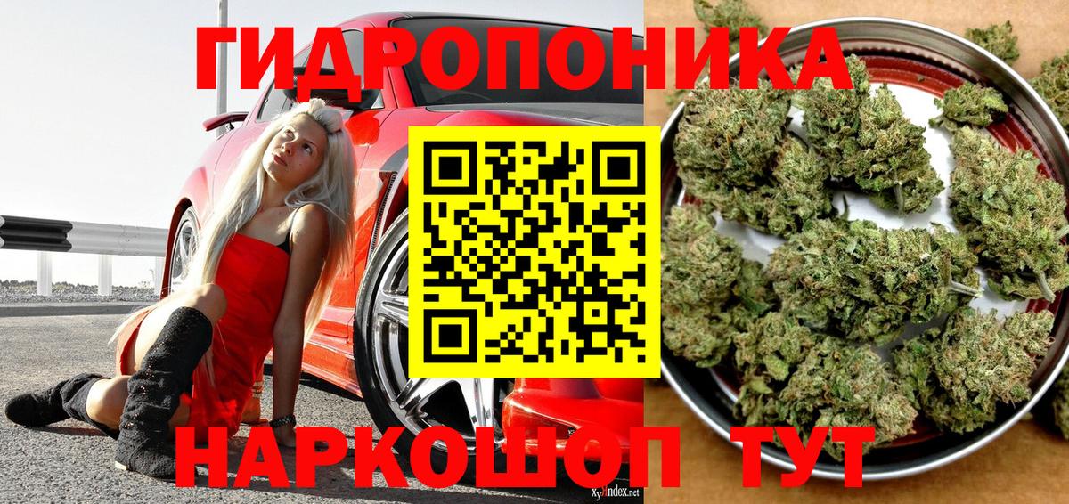 Кольчугино  Каннабис Amnesia  Конопля семена  Вход с VPN  Конопля семена 